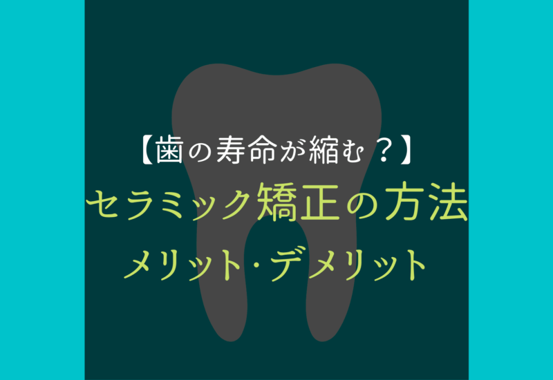 歯の寿命 セラミック矯正