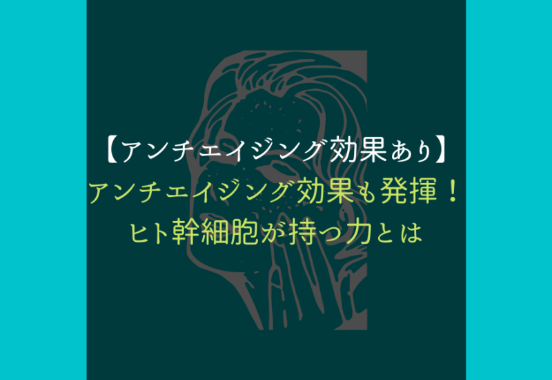ヒト幹細胞_サムネ