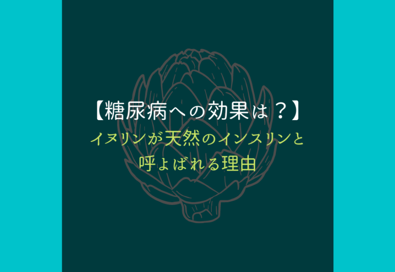 イヌリン_サムネ